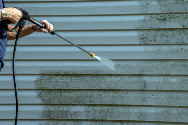 Best Dumpster Area Cleaning  in Clemson, SC